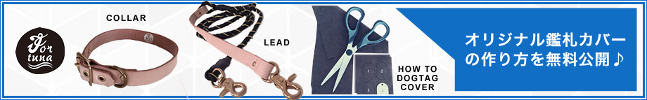 Fortuna WEB SHOP